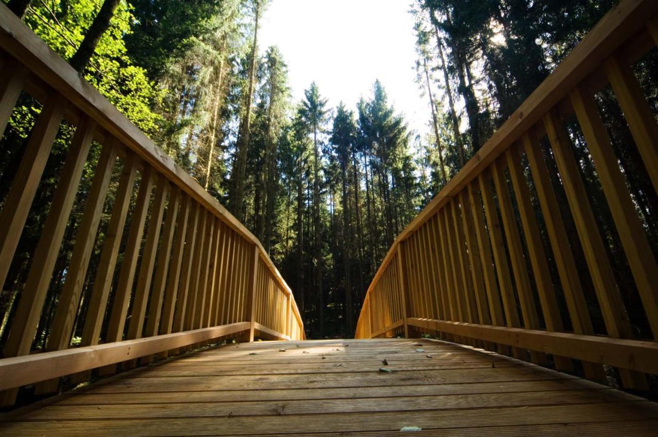 Forstgut - Premium Waldchalets Und Lodge Suiten Regen Dış mekan fotoğraf