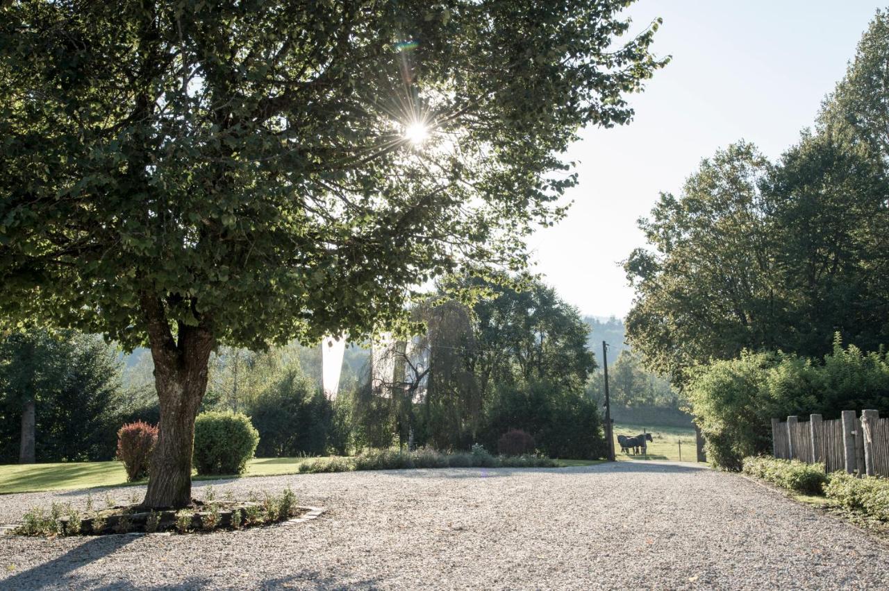 Forstgut - Premium Waldchalets Und Lodge Suiten Regen Dış mekan fotoğraf