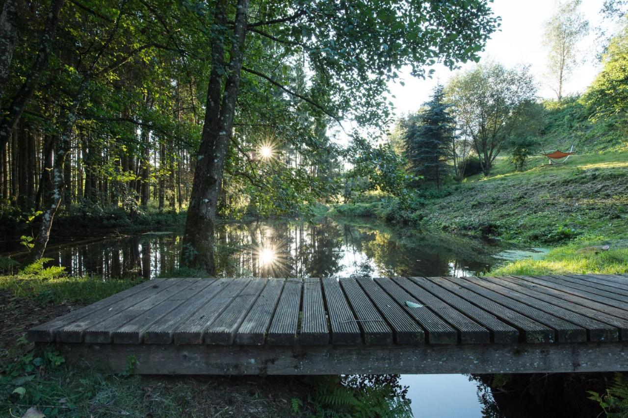 Forstgut - Premium Waldchalets Und Lodge Suiten Regen Dış mekan fotoğraf