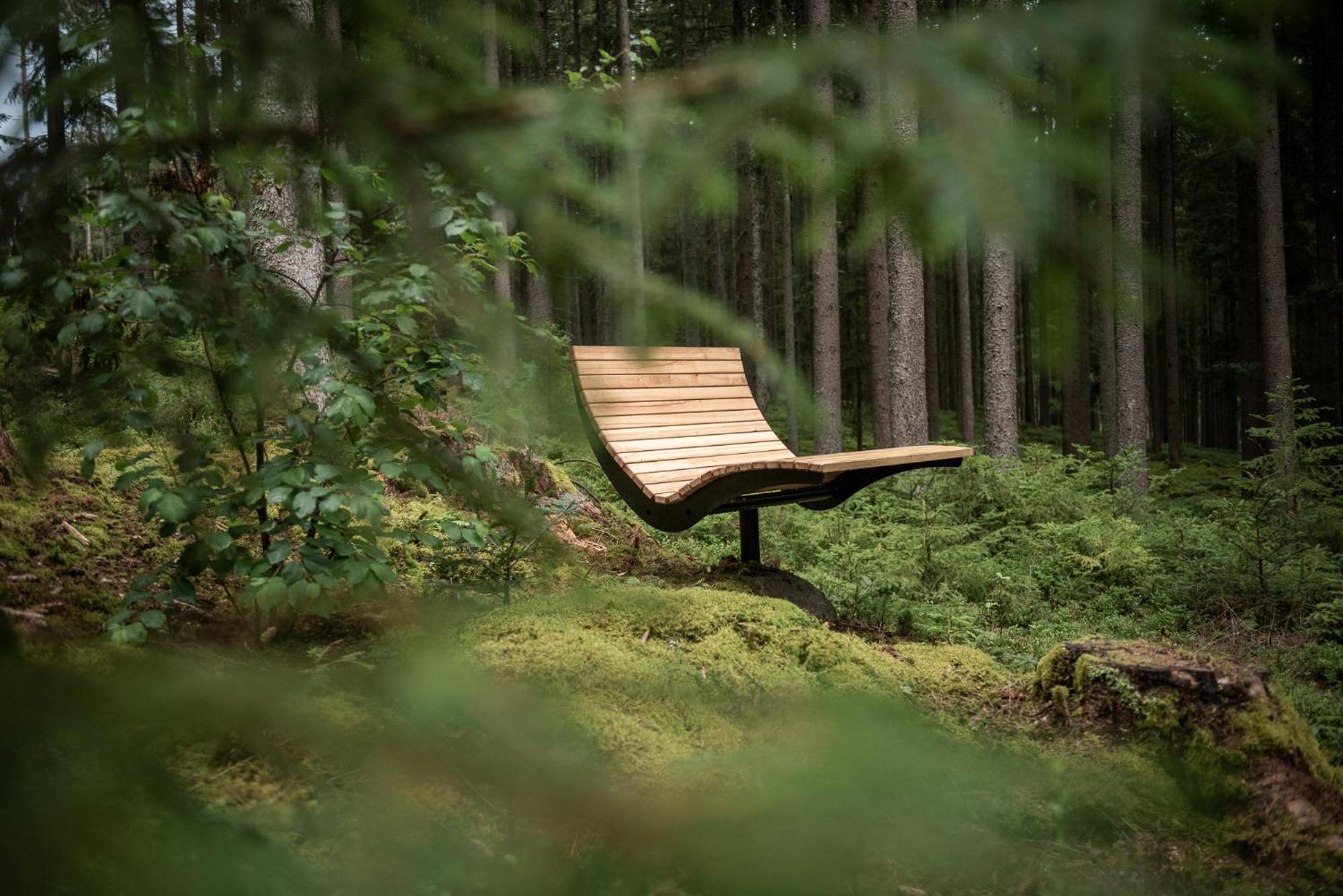 Forstgut - Premium Waldchalets Und Lodge Suiten Regen Dış mekan fotoğraf